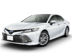Чехлы для  Toyota Camry XV70 Sd с 2017